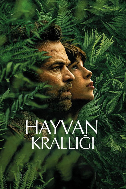 Hayvan