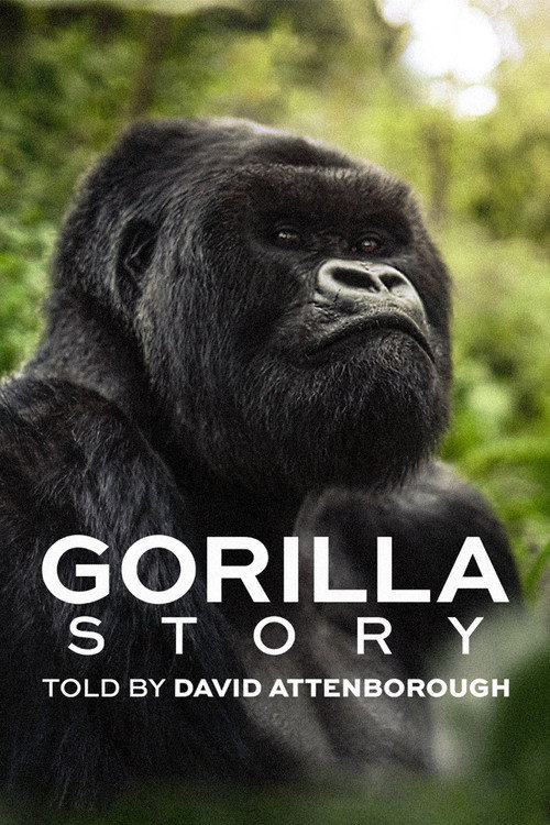 David Attenborough: Bir Goril Hikayesi